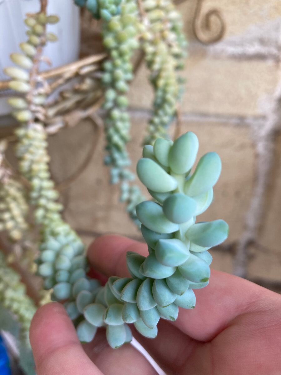 Фото принадлежит автору.