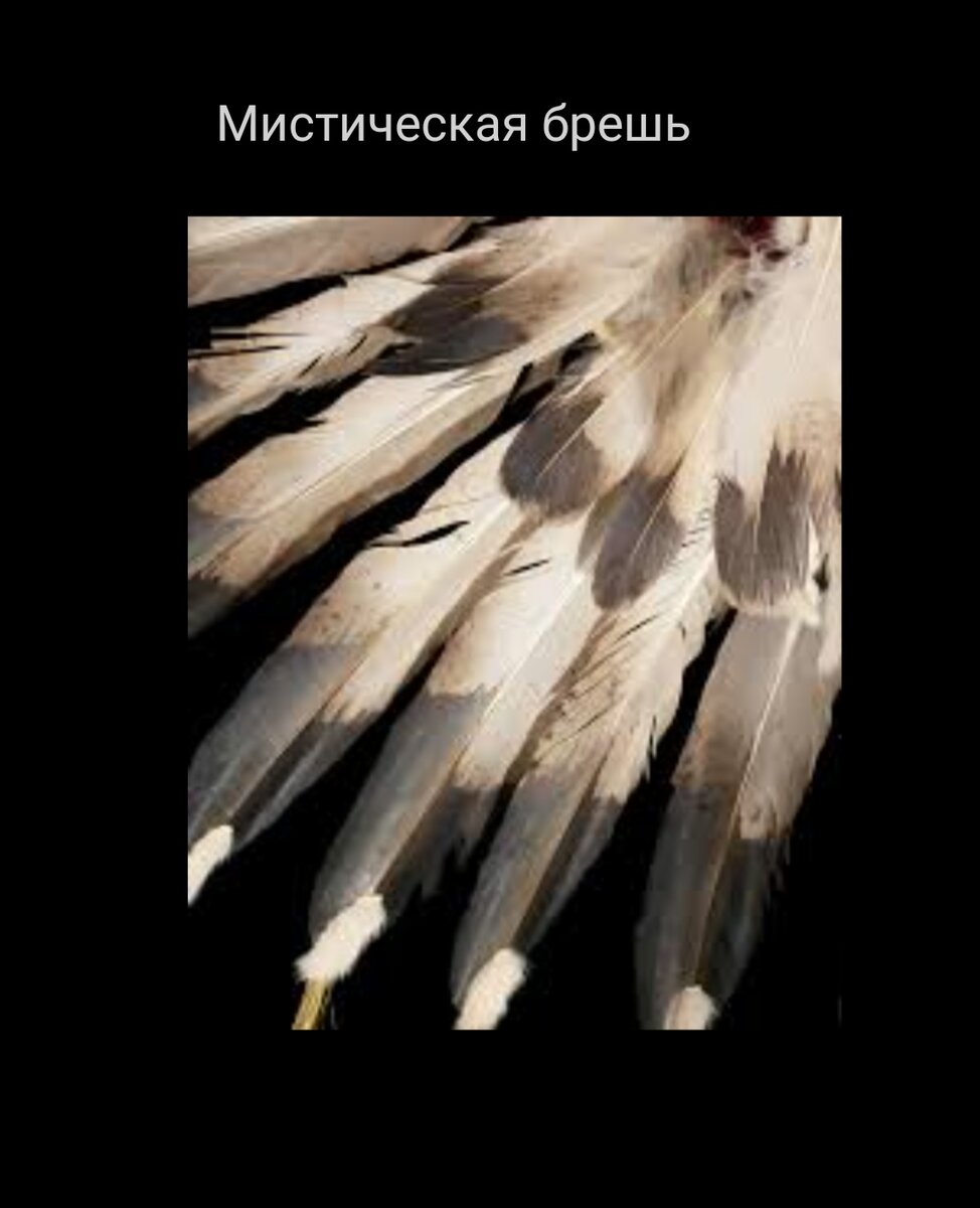 Фото из интернета 