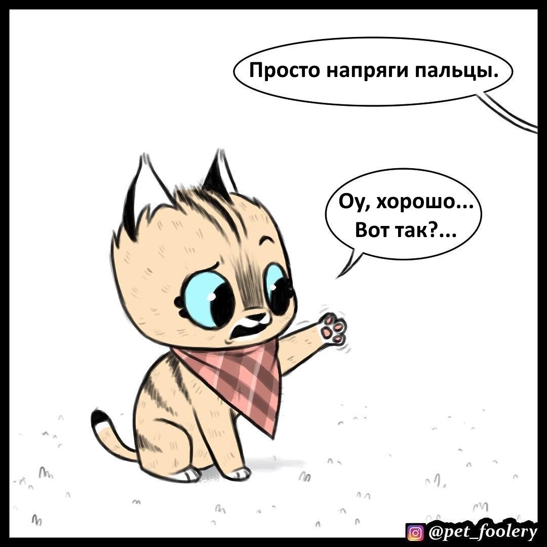 Пикси и брут пикси картинки