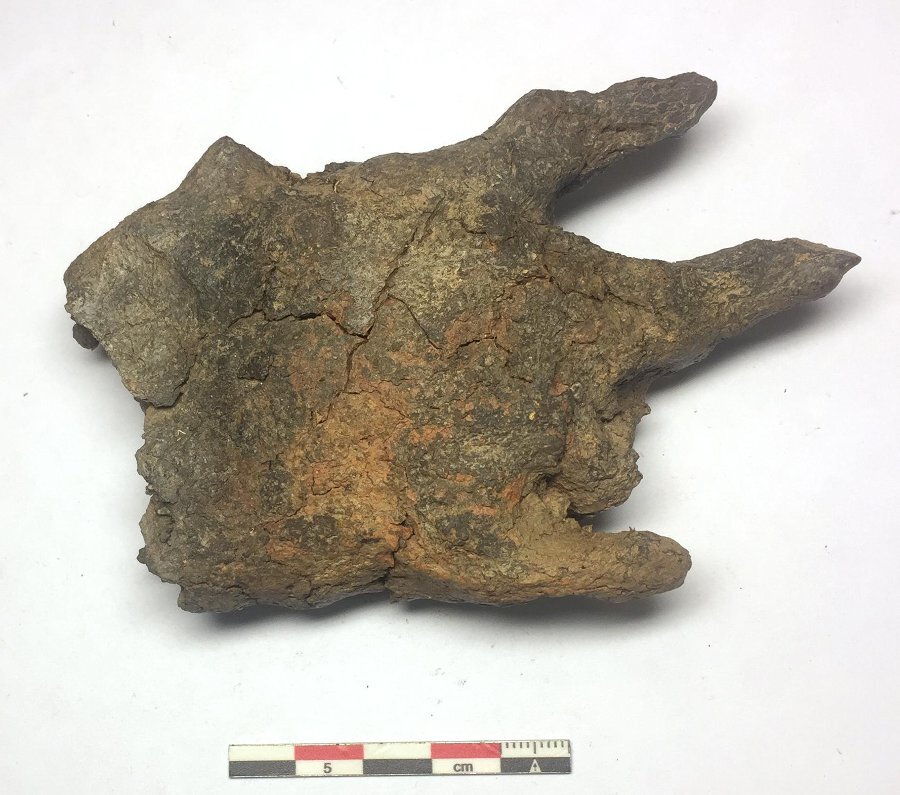 Глиняная бобровая лапа из Тимерёвского курганного могильника. Из собрания Государственного исторического музея