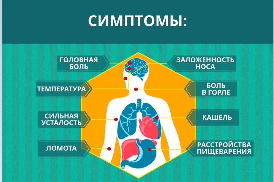     Симптомы гриппа. Памятка с сайта Роспотребнадзора Иркутской области