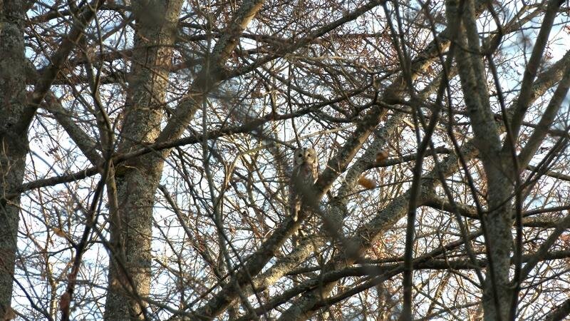    Фото: vk.com/kazdoytvaripopare