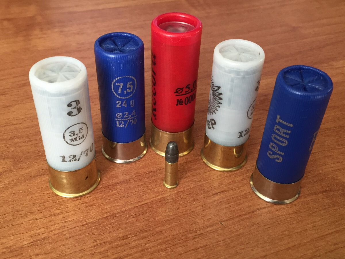 .22LR на фоне патронов 12 калибра