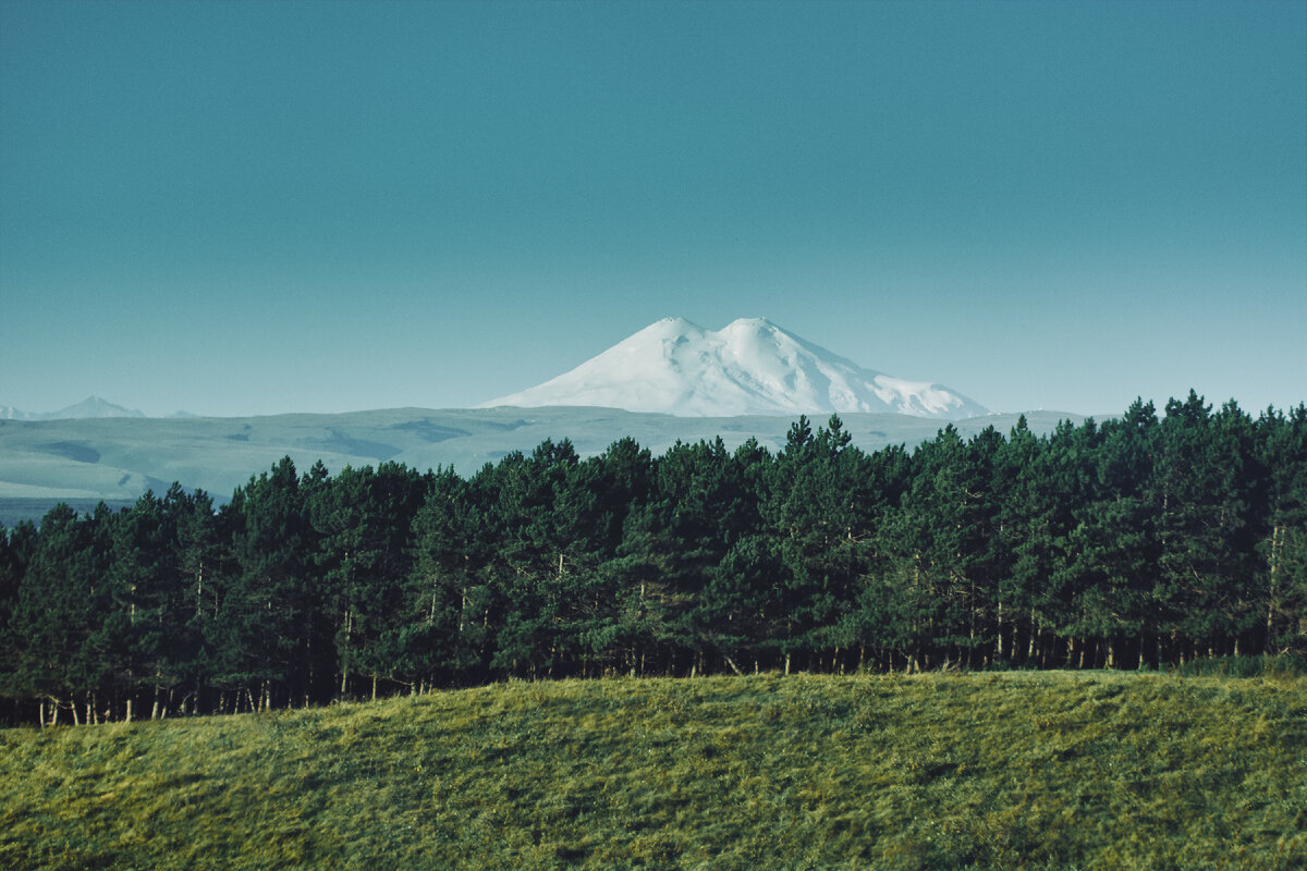 фото: Константин Кордонский