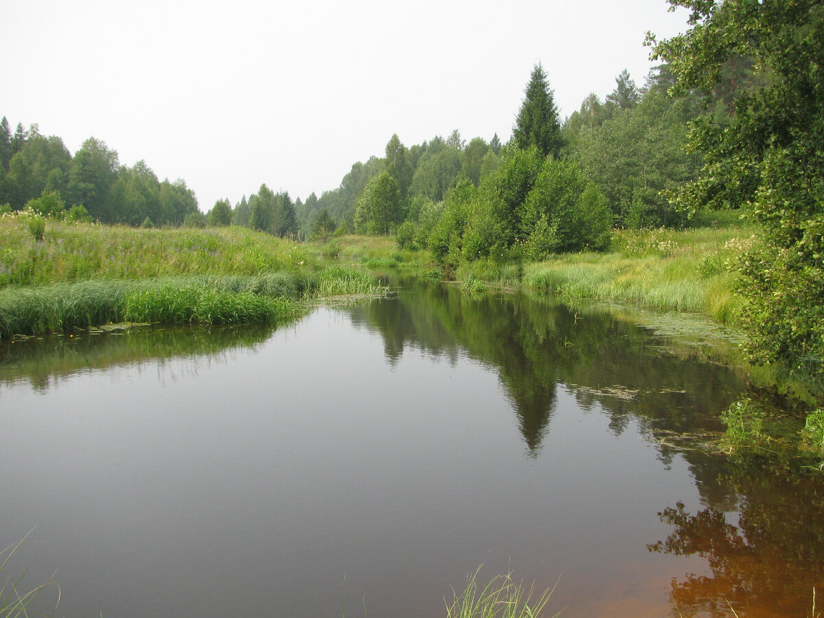 река черный лух