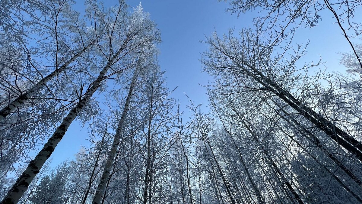     Власти Тюменской области второй раз за новогоднюю неделю объявляют штормовое предупреждение. По информации департамента гражданской защиты и пожарной безопасности, с 8 по 12 января, на юге региона ожидаются аномальные холода и шквалистый ветер.
