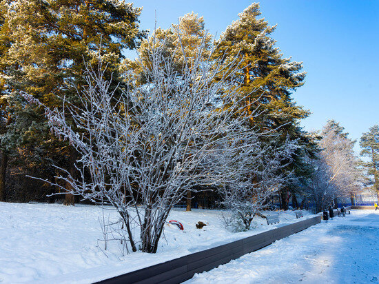     Фото: Дмитрий Куткин
