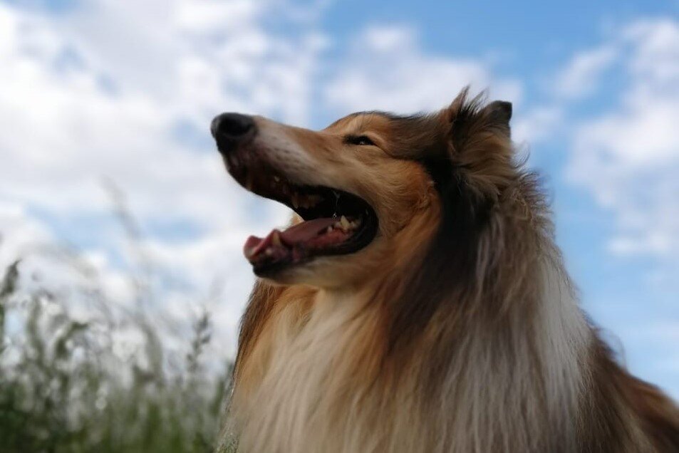 Берегите своё. фото автора