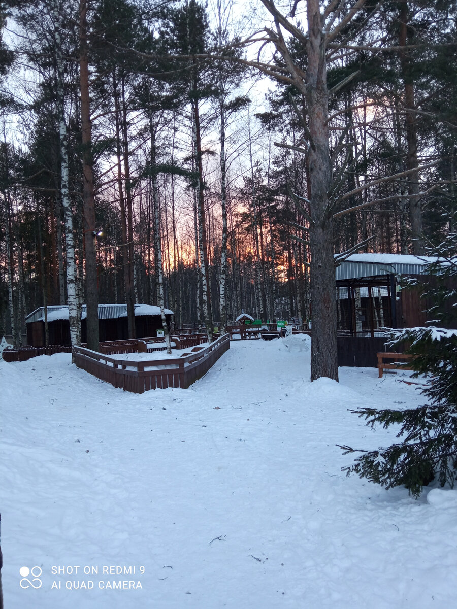 фото автора, экопарк Зоолесье