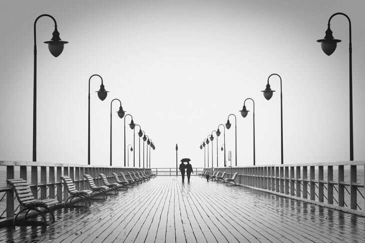 Фото: Pixabay
