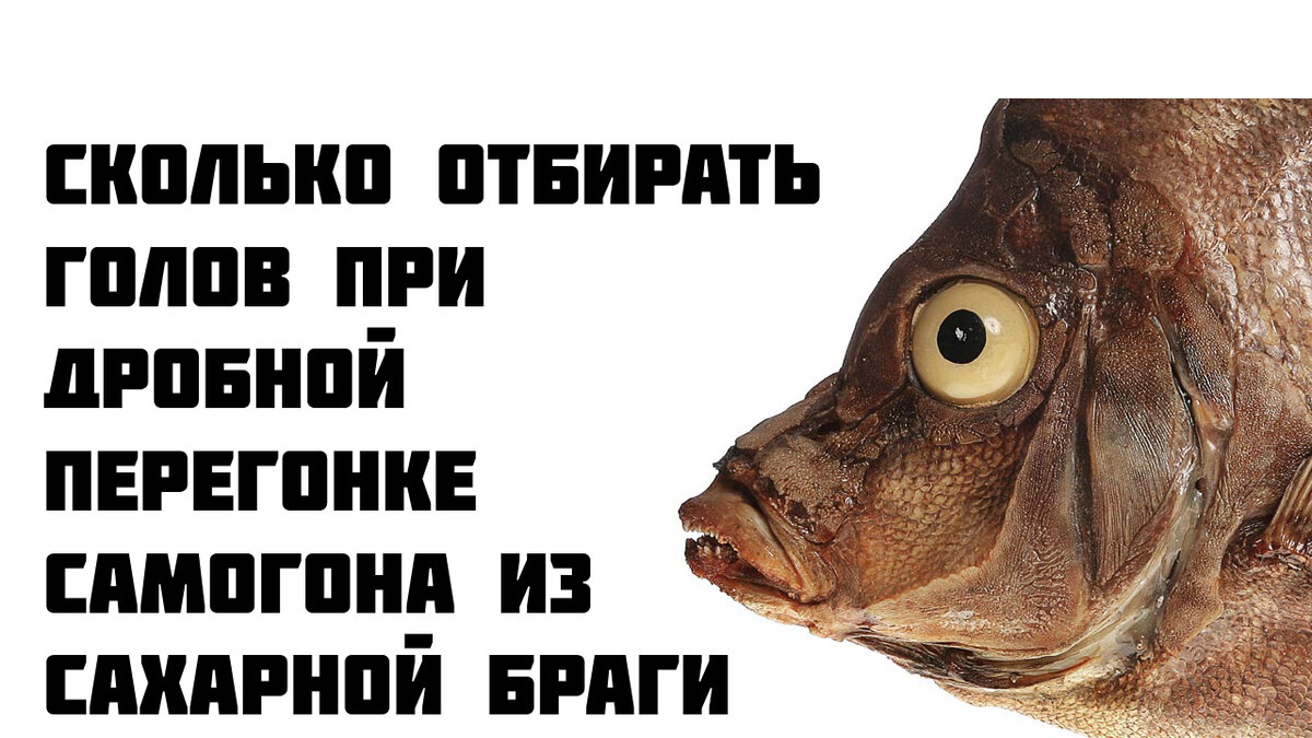 Сколько отбирать голов при дробной перегонке самогона из сахарной браги