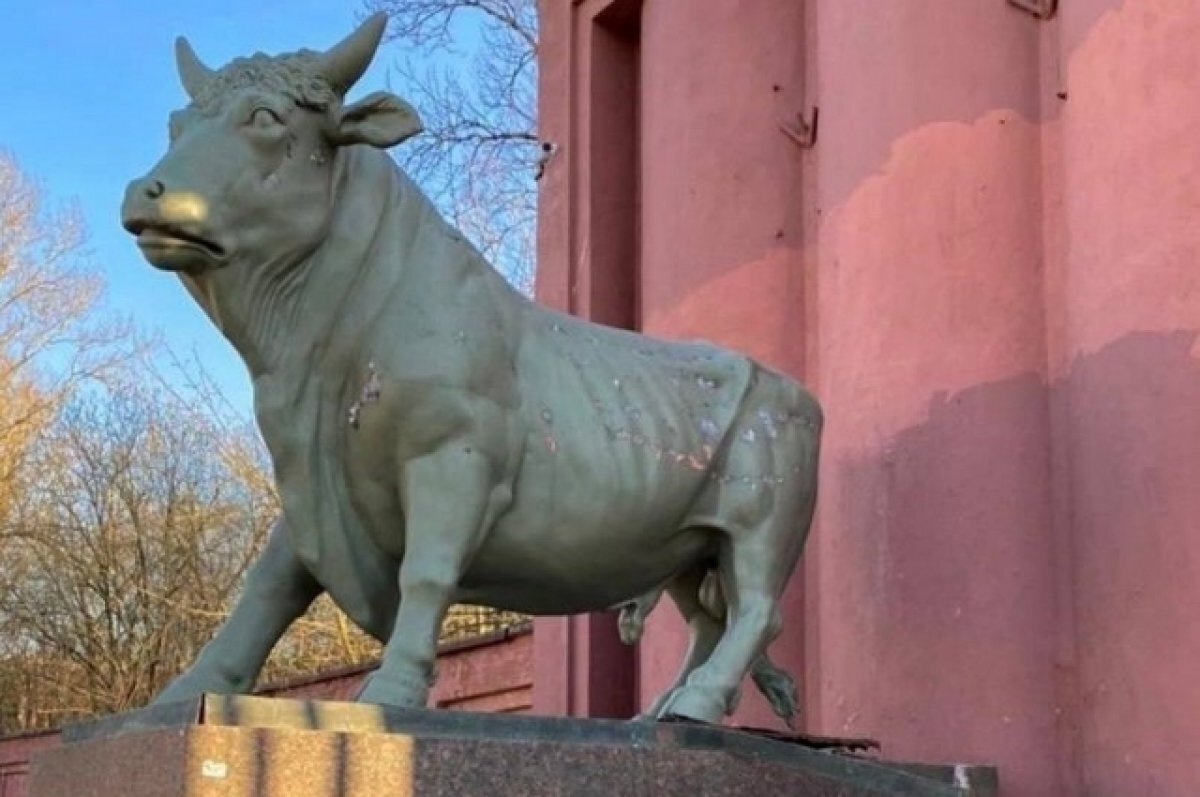    В Петербурге мясокомбинат «Самсон» могут переоборудовать под спорткомплекс