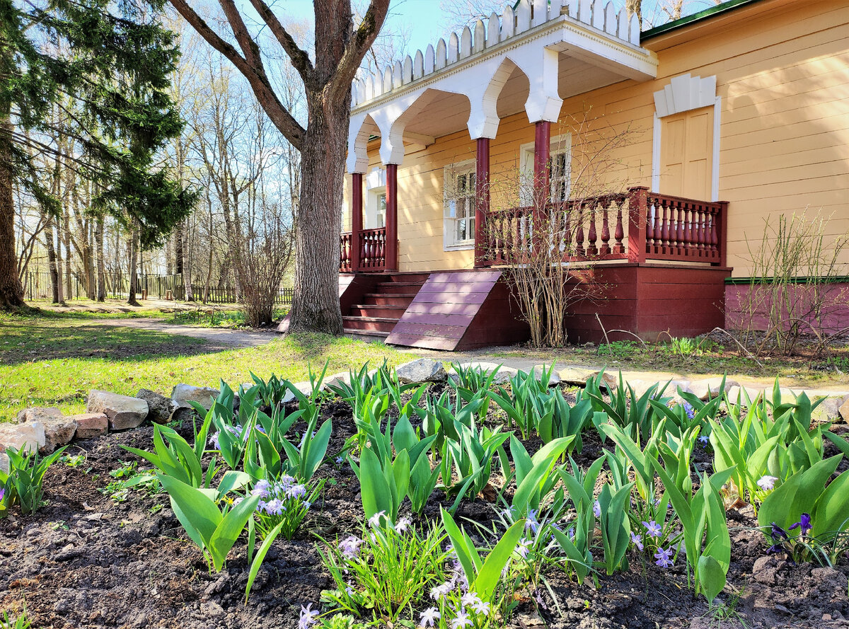 Вид на знаменитую террасу главного дома. Сколько знаменитостей пили чай и любовались садом с этих ступеней - дух захватывает! Фото автора