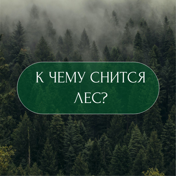 Шаблон из dashboard.supa 