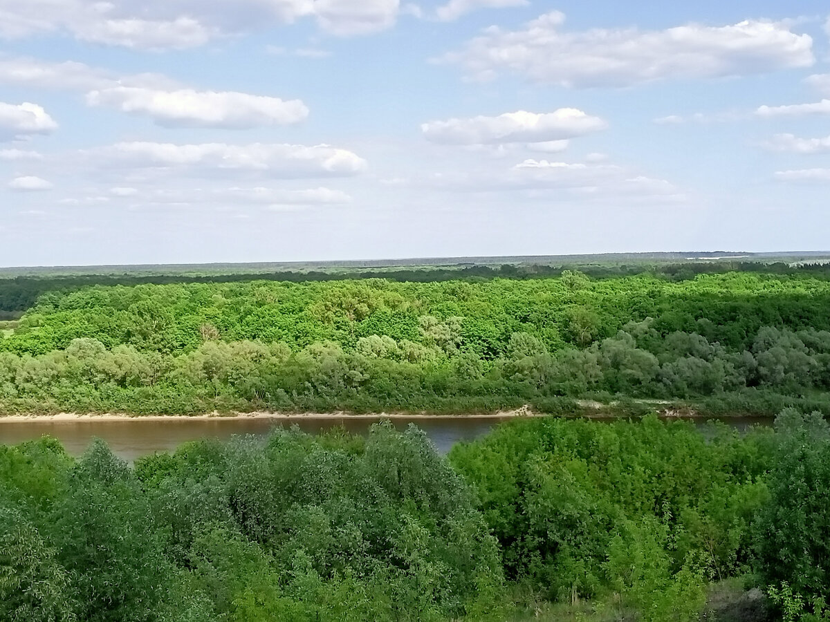 Речка неподалеку от дома родителей 