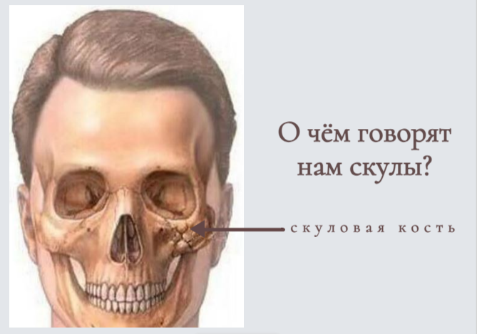 Перелом скуловой кости: симптомы, причины, диагностика и методы лечения в «СМ-Клиника»