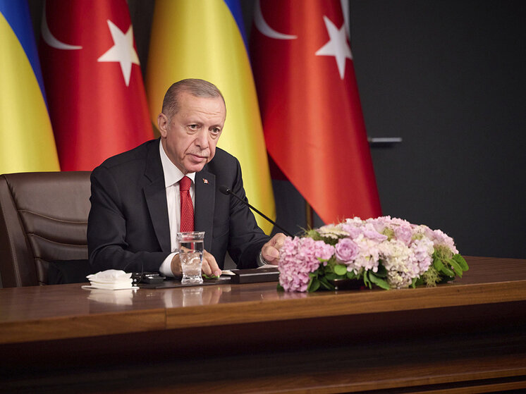     Президент Турции Реджеп Тайип Эрдоган / Global Look Press