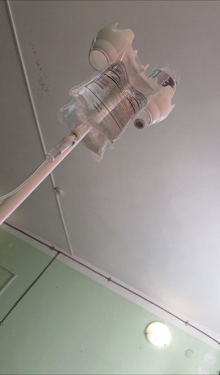 Фото автора.