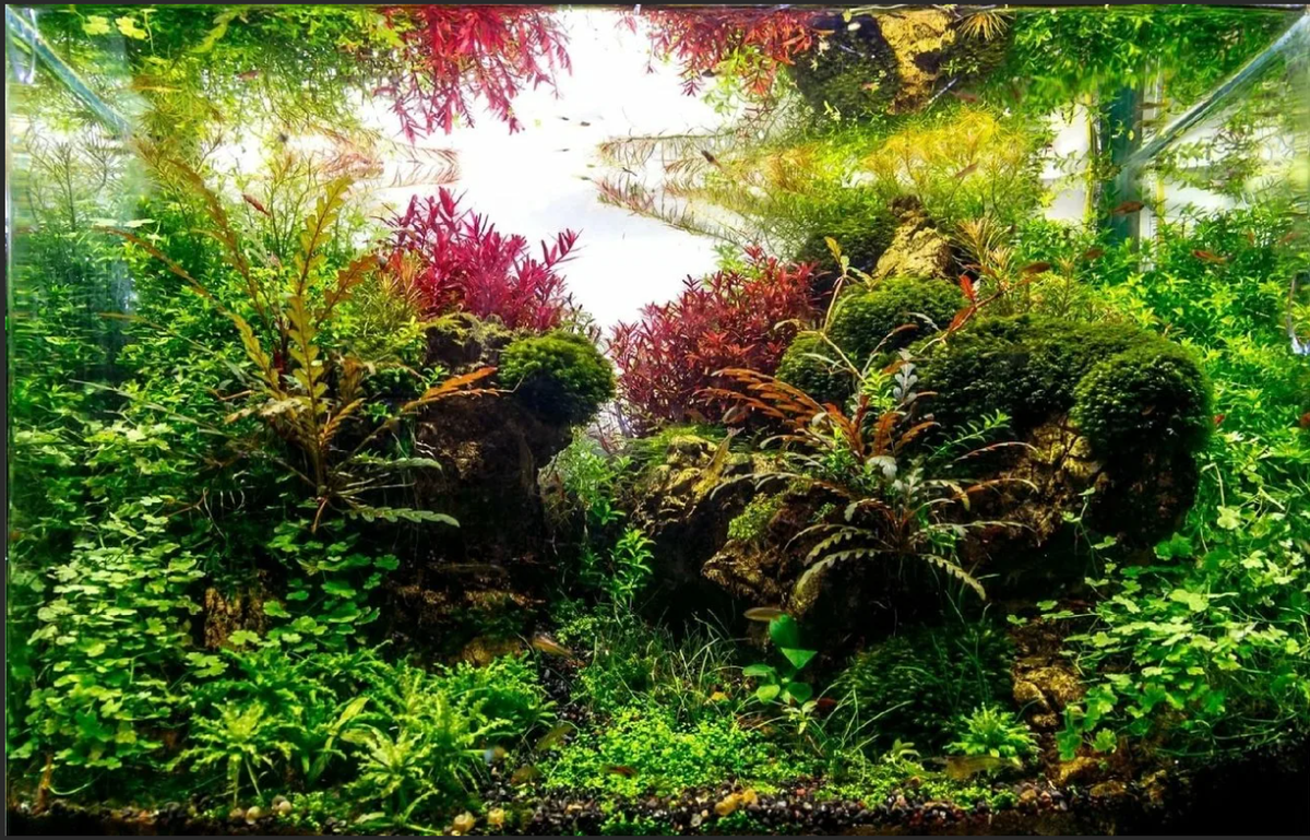 Источник: bogatyr.club