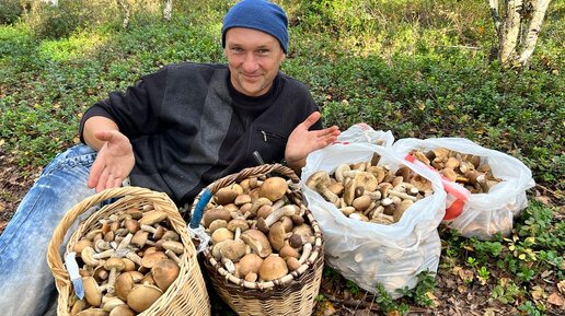 С невероятной скоростью лукошки наполнялись грибами. Как мы на 