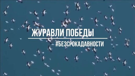 Информационно - образовательные ресурсы