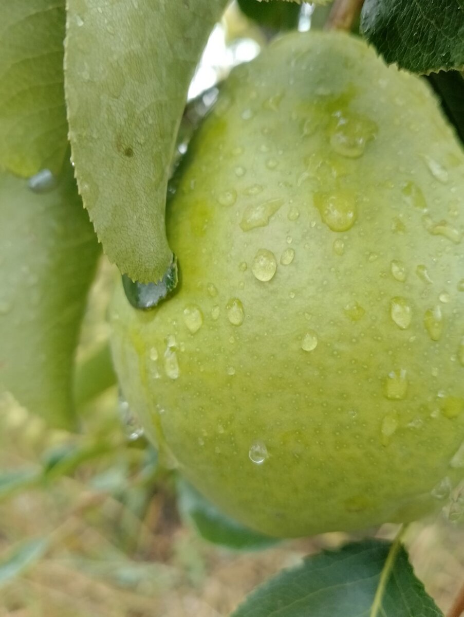 Дождь прошел.