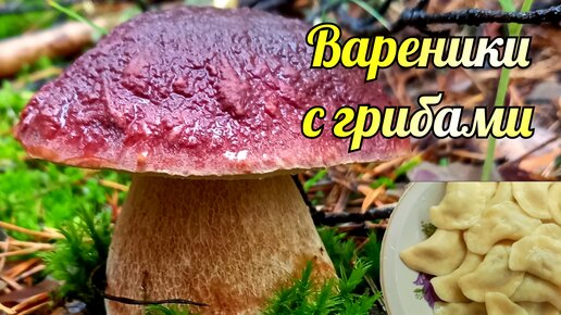 Вареники картофельные с белыми грибами 🍄 🔥