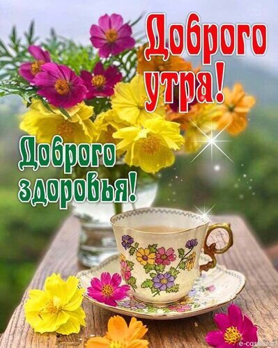 Фото из свободных источников