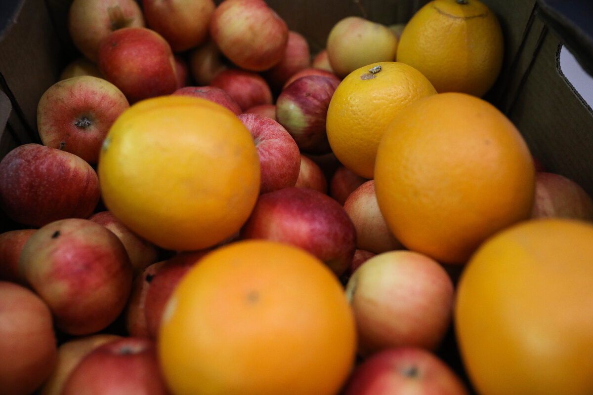 Фото: Илья Хачатурян