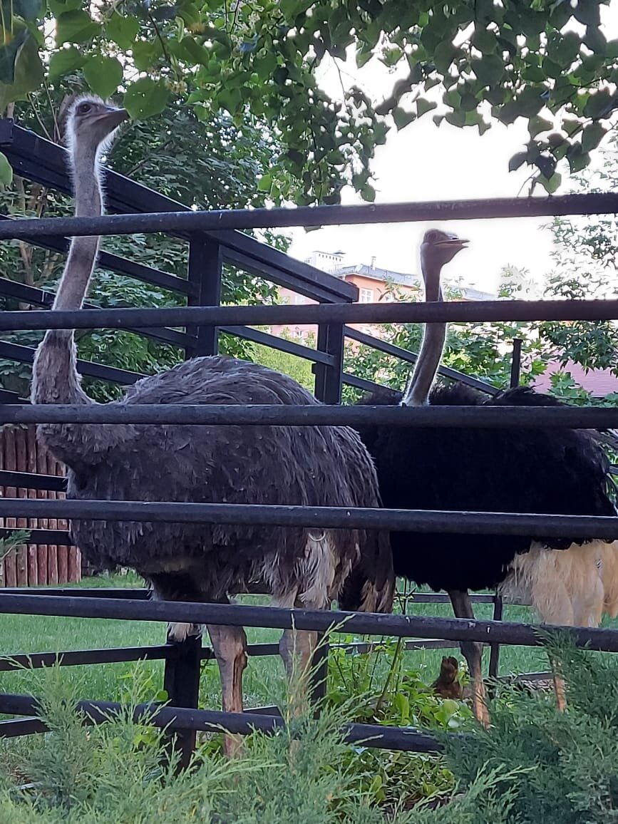 Ставьте "лайки" и подписывайтесь на мой канал