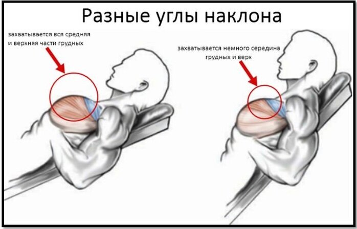 Жим гантелей лежа под углом вверх: все тонкости и секреты