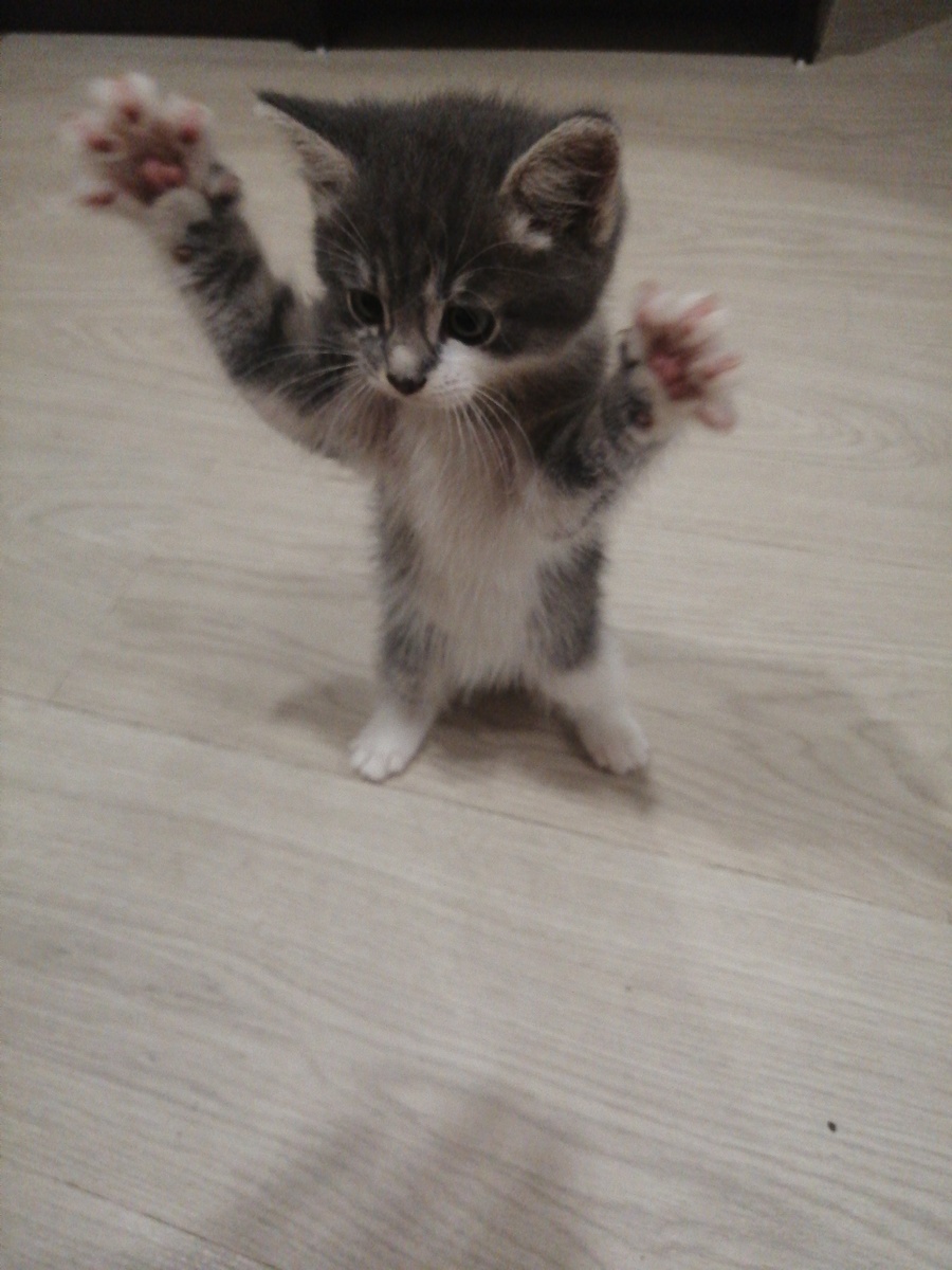 Это он сейчас