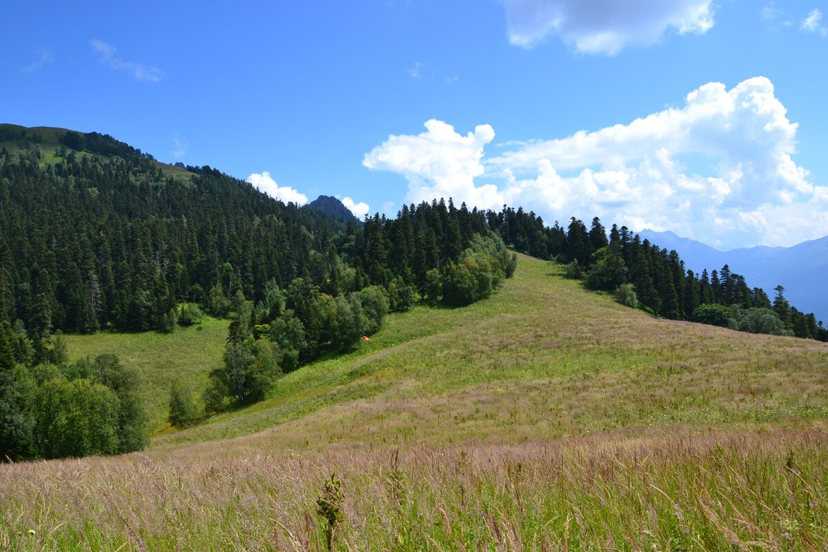 Перевал Алоус