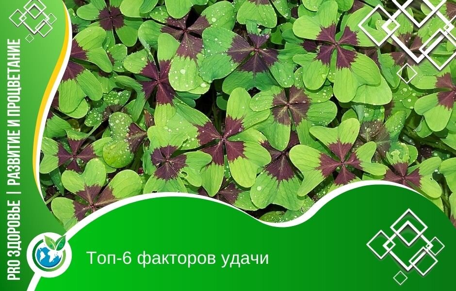 Фото: https://pixabay.com/photos/luck-klee-lucky-clover-vierbl%C3%A4ttrig-2722470/