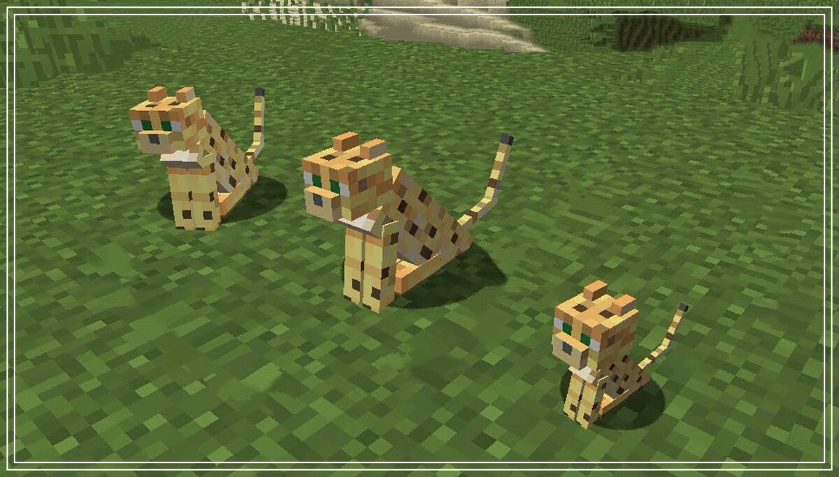 Как выглядит кошка из майнкрафта minecraft: Крипер в Майнкрафт. Мирослав Str0ng Дзен