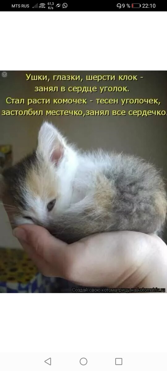 Это не Анабель. И дальше не она