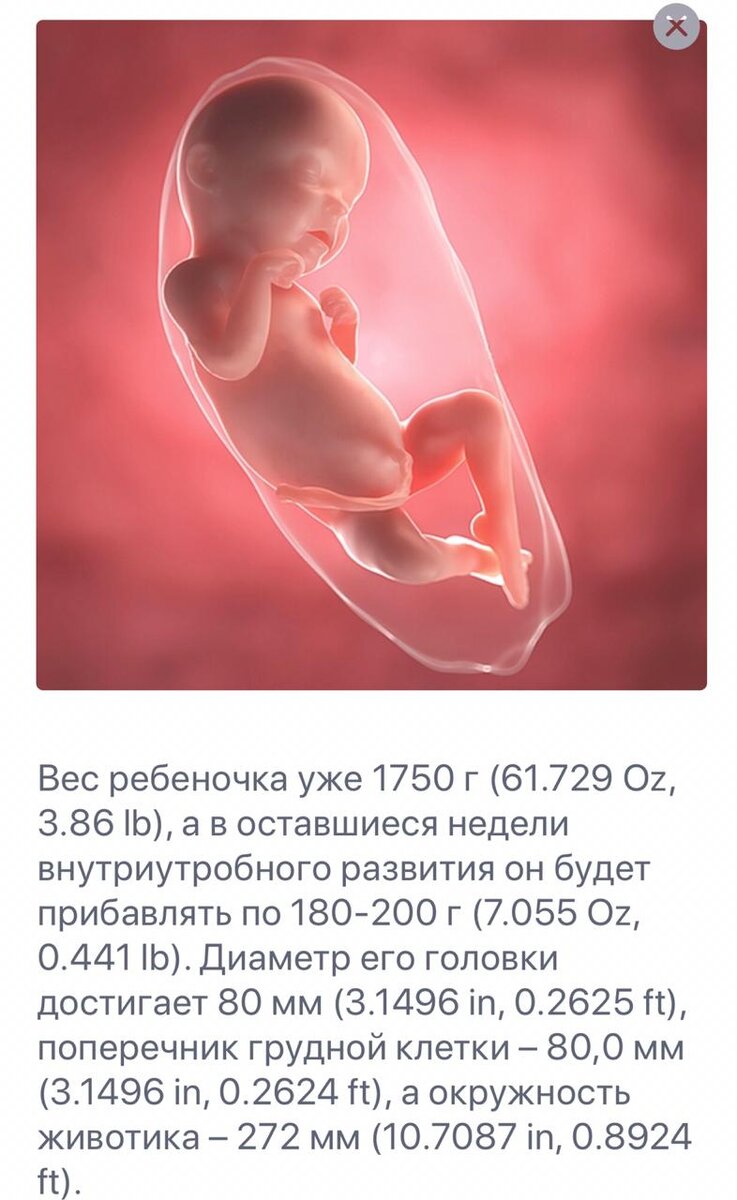 данные из приложения