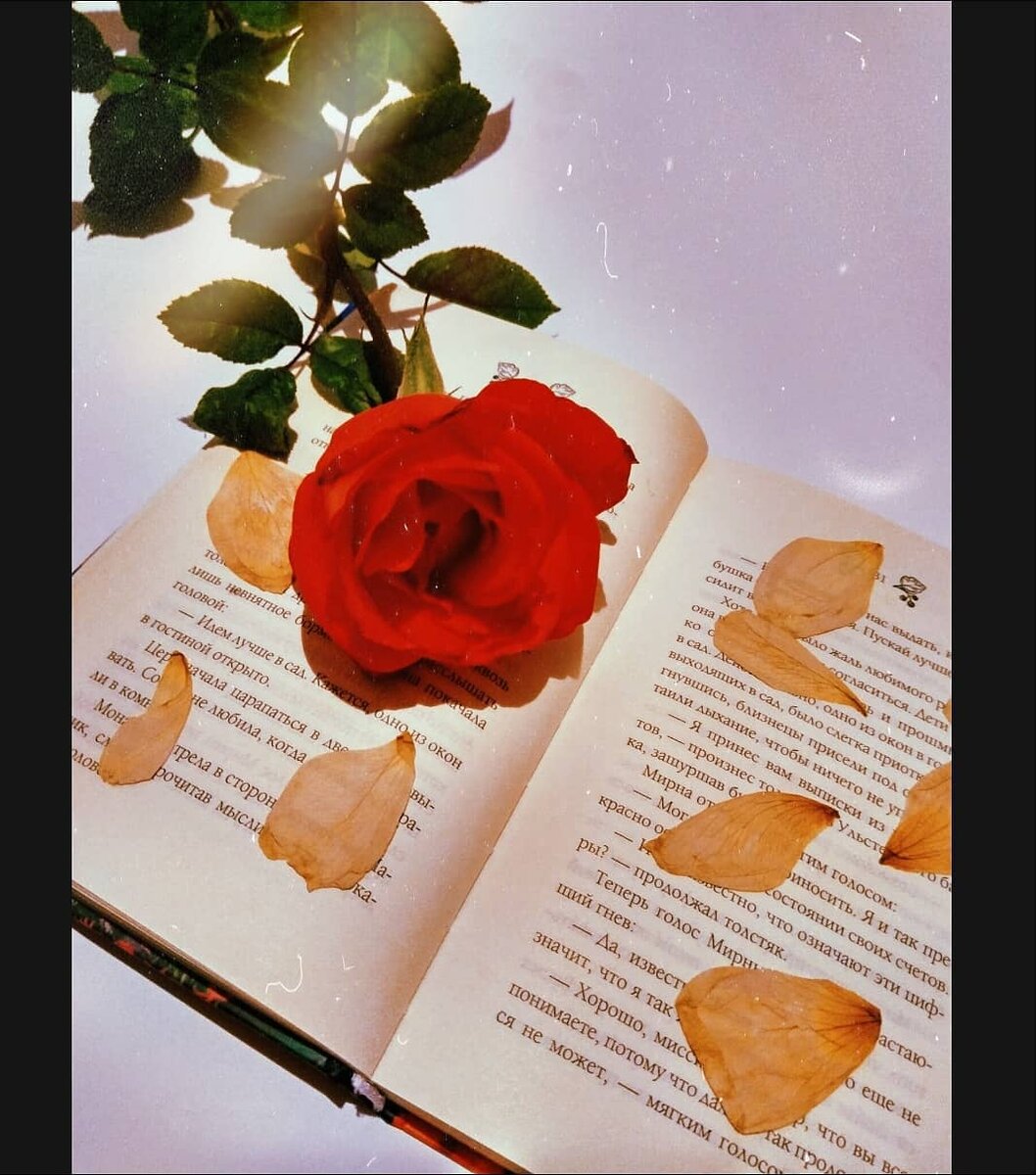 Сейчас каждый из нас сидит в социальных сетях. Мы смотрим новости, выкладываем красивые фотографии, общаемся с родными и близкими , а вспомните как было раньше. Все жили без интернета, больше гуляли на свежем воздухе. Дети сидят сутками дома и смотрят в экраны, их детство проходит мимо них. Мне хочется, чтобы каждый ребенок откинул телефон или планшет в сторону и вышел погулять на улицу с друзьями. 