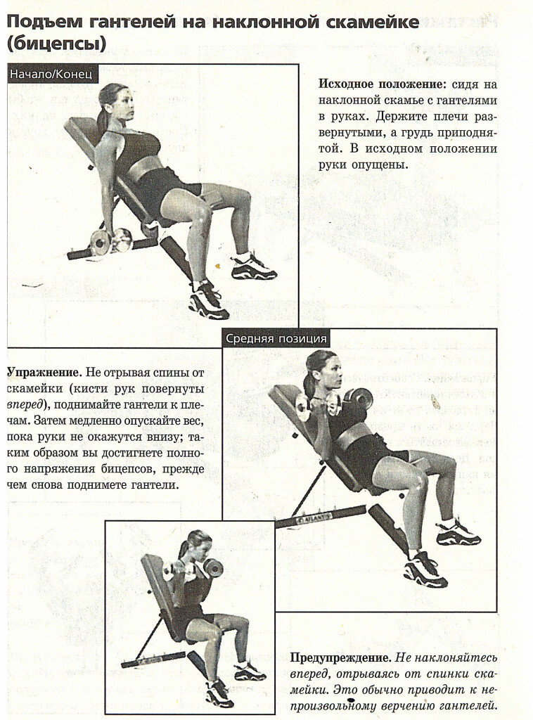 Подъём гантелей сидя, позволяет удерживать  равновесие при выполнении упражнения.