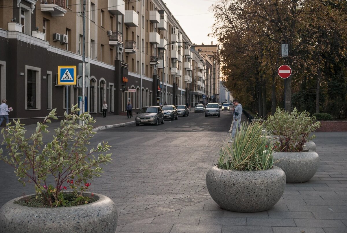 Многолетние растения на улицах Белгорода