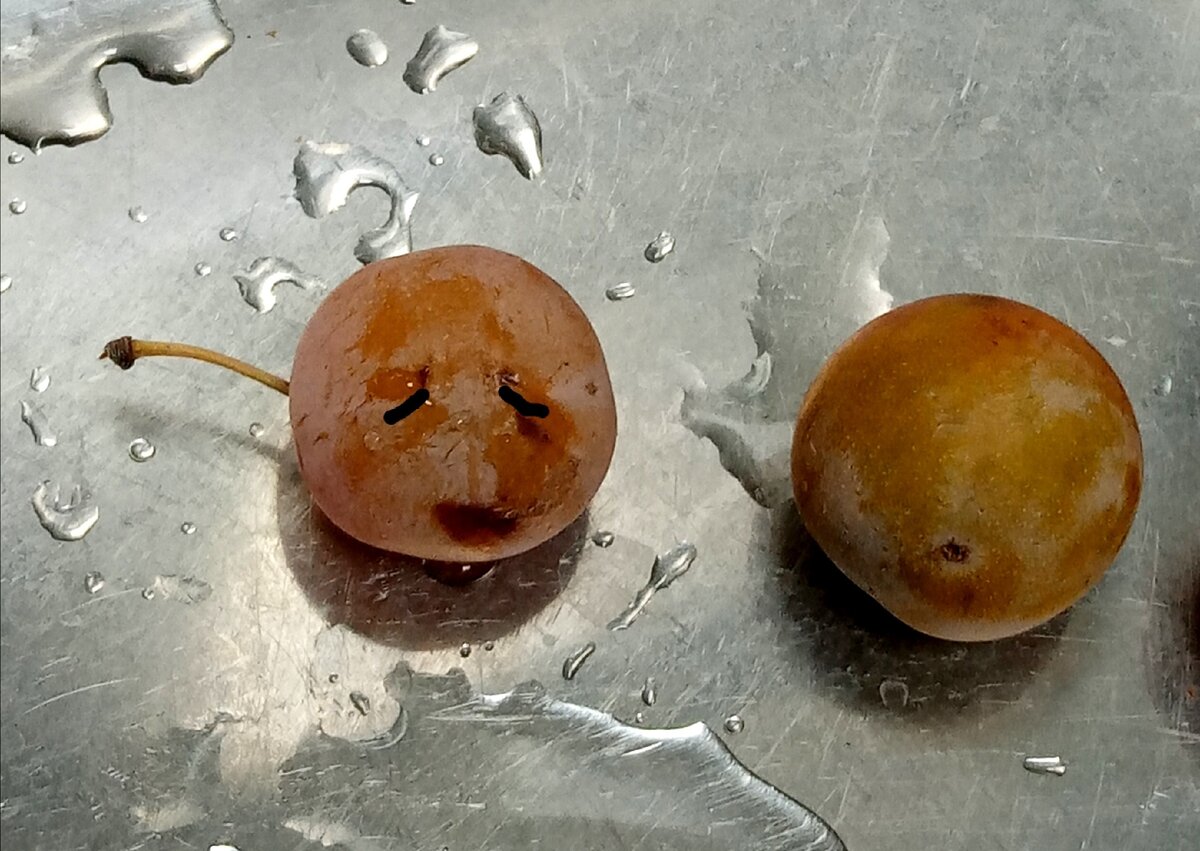 Фото автора. А от вас хочу лайк и подписку)