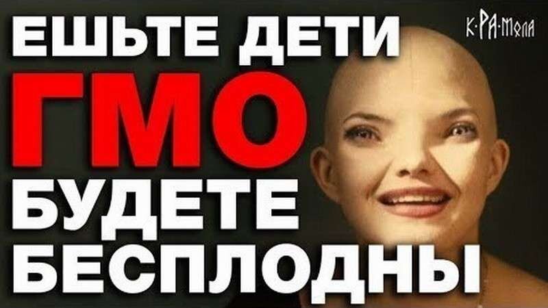 фото  из  свободного  доступа