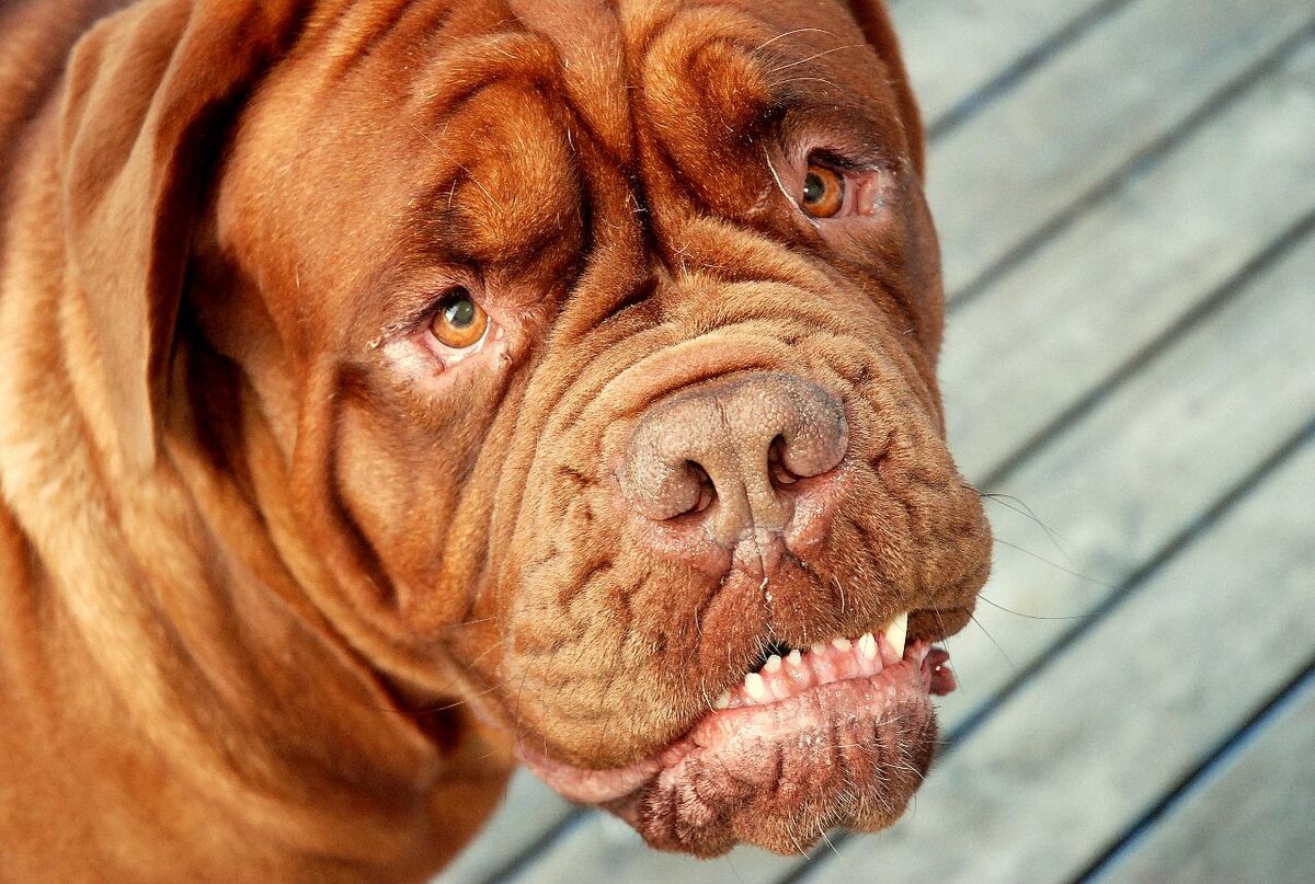 источник: яндекс картинки