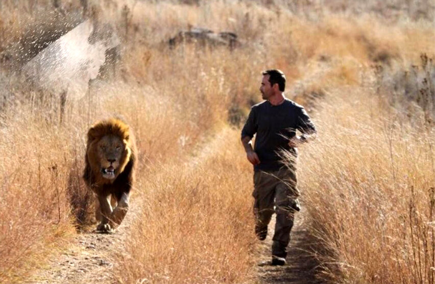 Типичная фотография со школьного стадиона