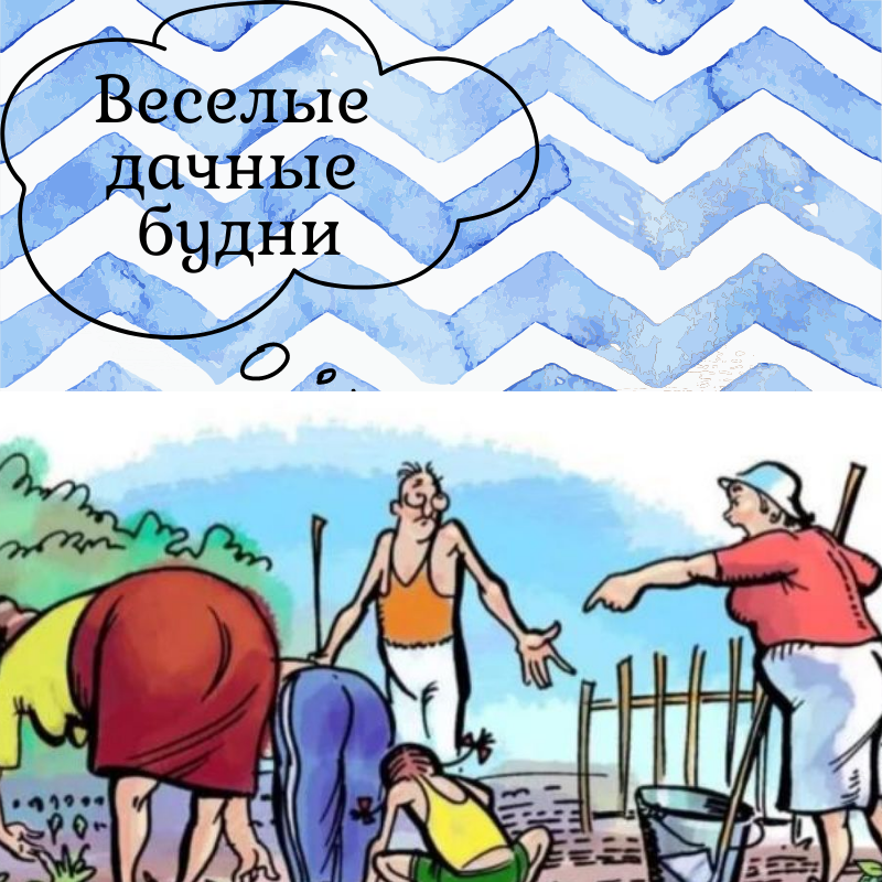 С днём рождения соседка. С днем рождения сосед по даче. С днём рождения соседке по даче. Прикол про бабок в санатории.