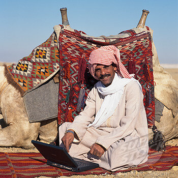 Бедуин семена купить