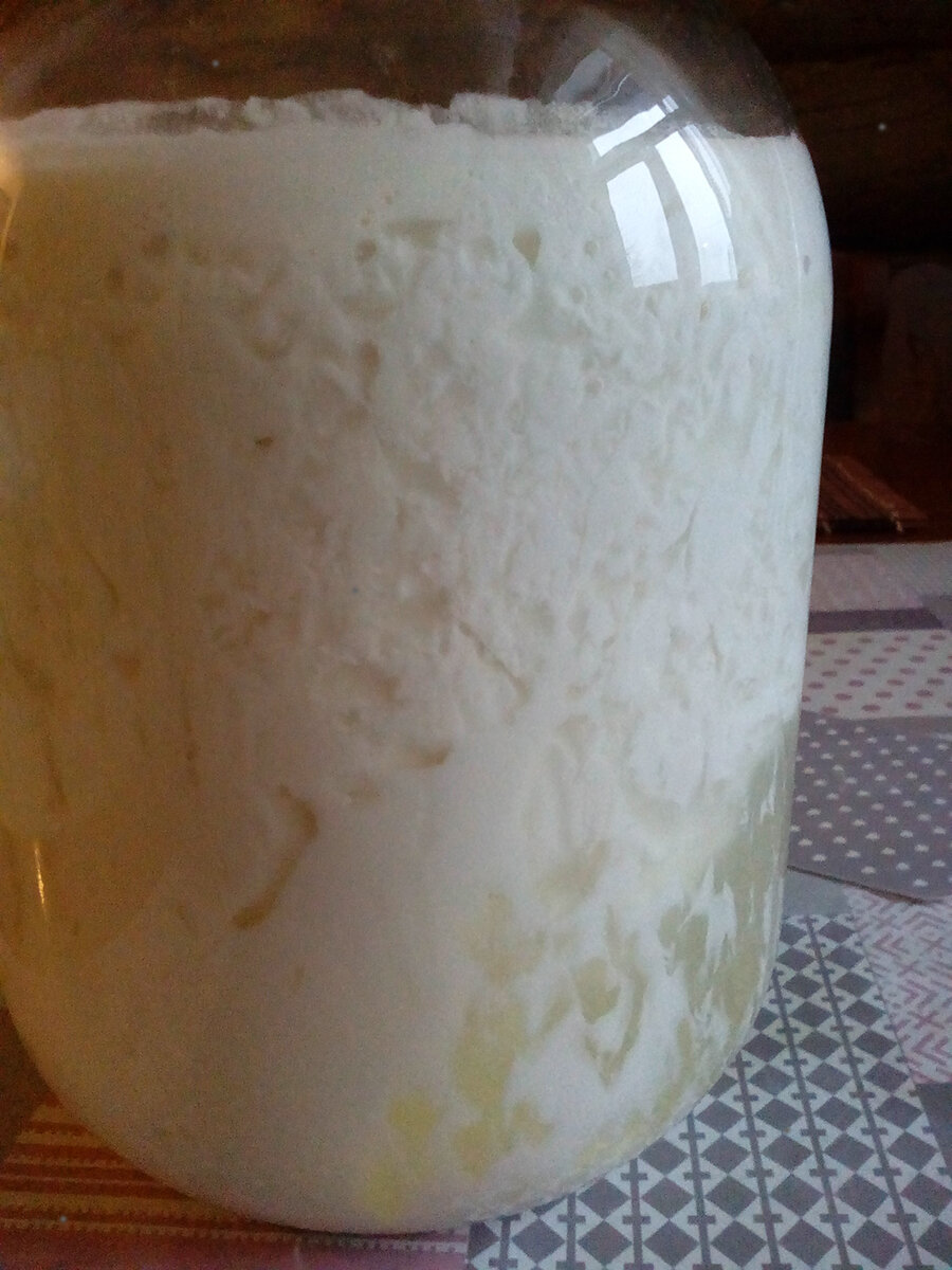 простокваша