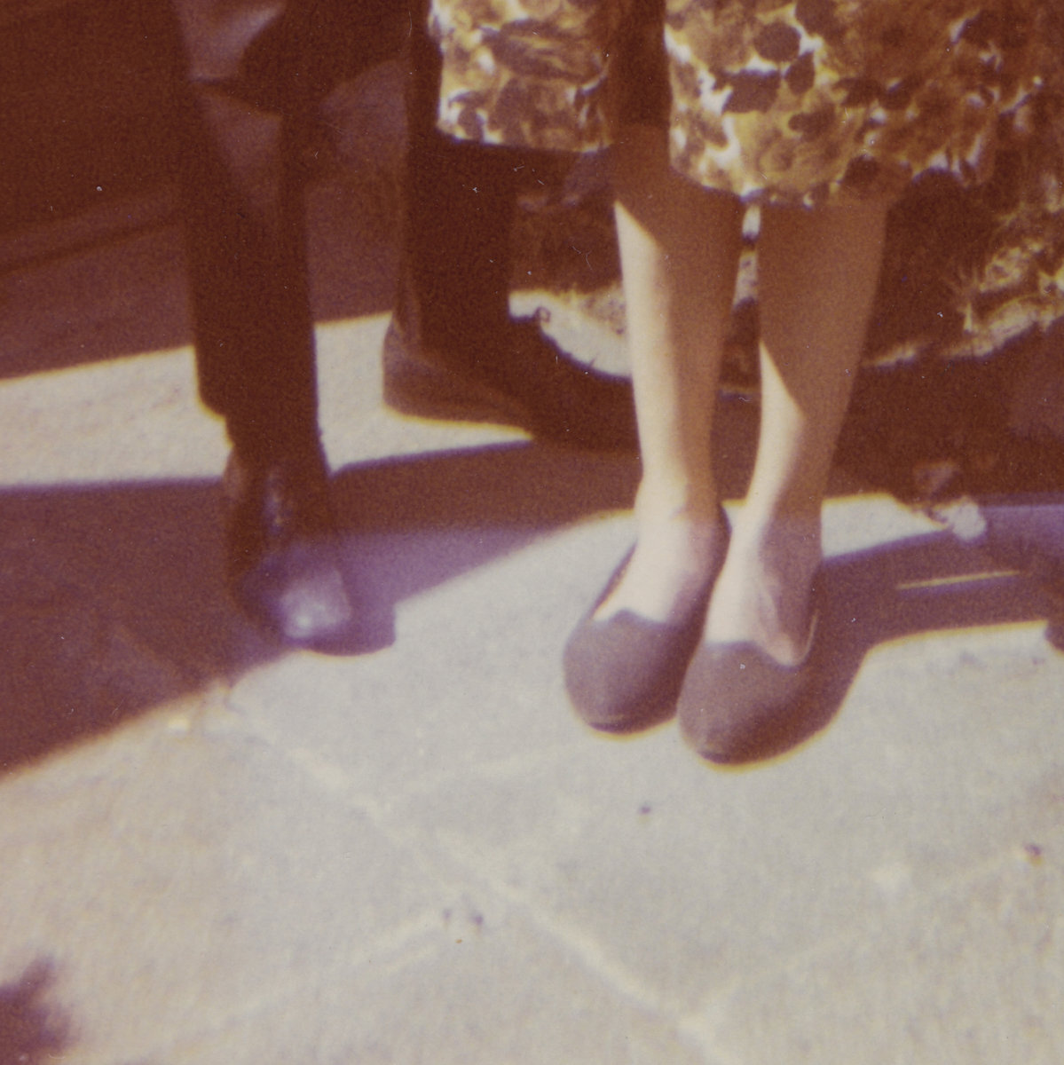 Andrew Chalk & Tom James Scott: Wild Flowers, 2013