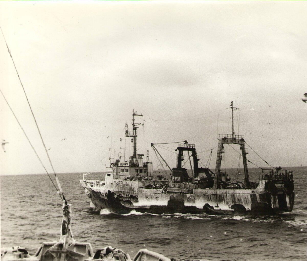 Про все фото - это тип судна ПСТ, Северо-Западная Атлантика, местами Северный Ледовитый, Норвежское море, районы ЗФИ, Шпицбергена, Новой Земли, Медвежьего, Норвежское море...