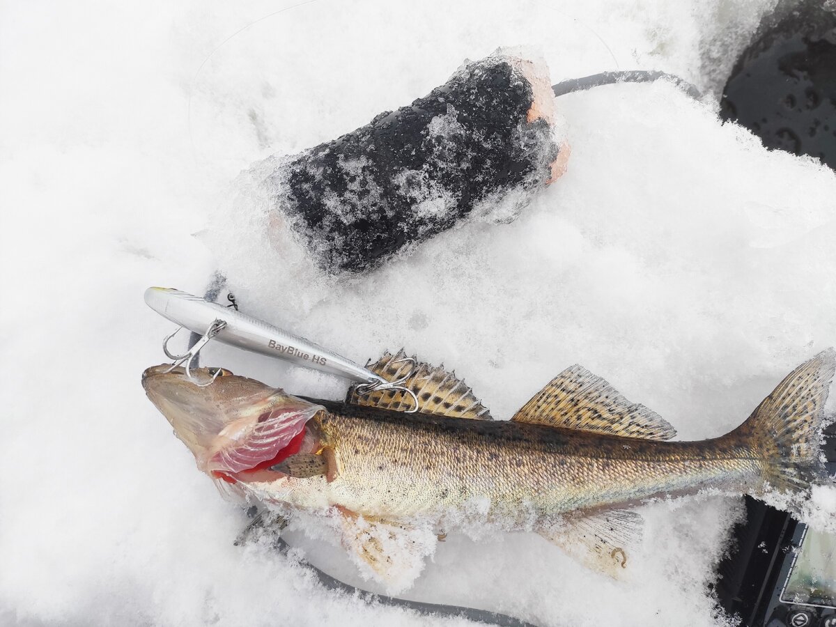 мелкая рыба не дает скучать. 